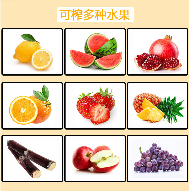 Presse - agrumes manuelle en acier inoxydable