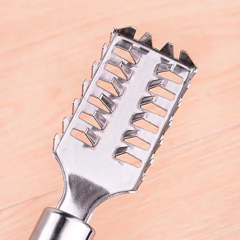 Ecailleuse a poisson