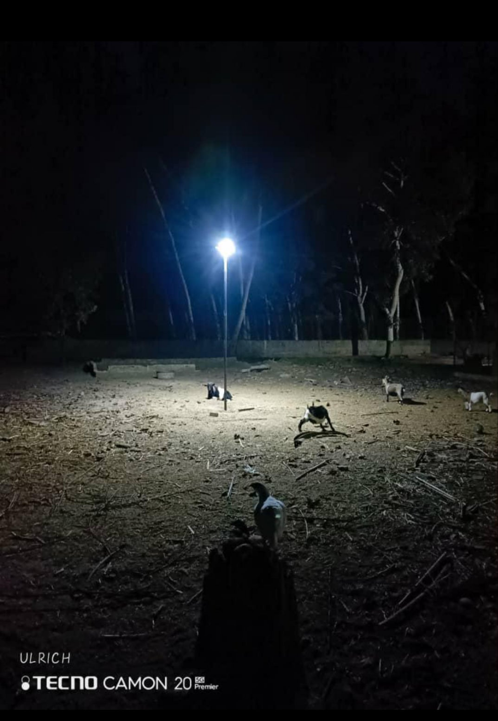 2000W  dans une ferme 